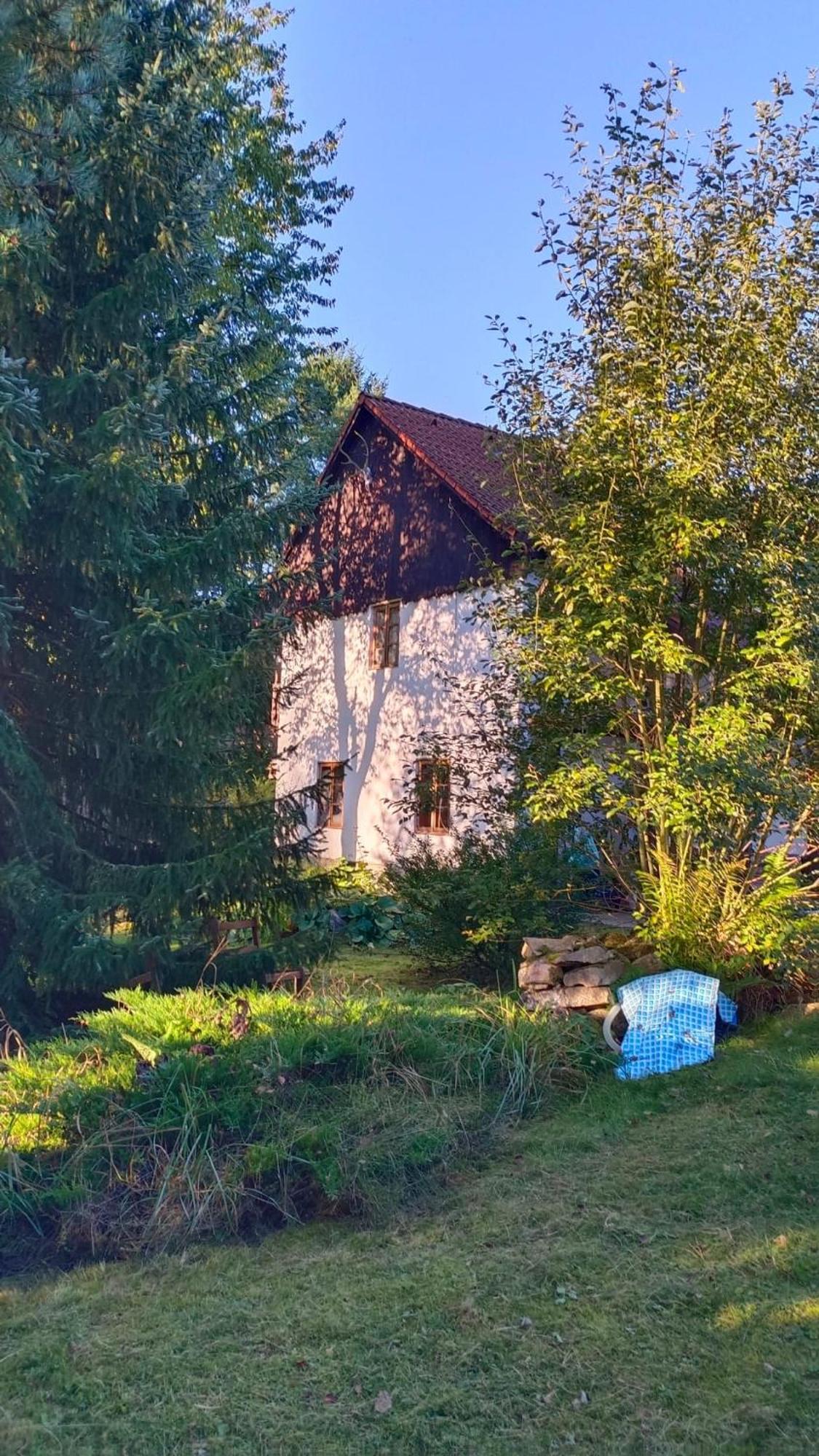 Chaloupka U Jiriho Hotel Nová Pec Eksteriør billede